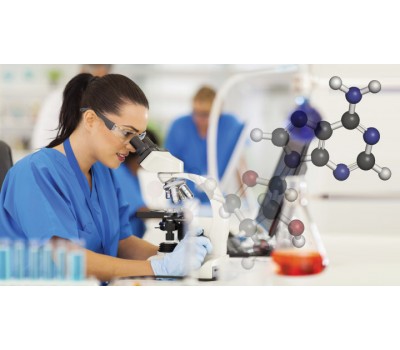 AMPK --- The Cellular Enzyme That Promotes Longevity And Reduces Fat Storage